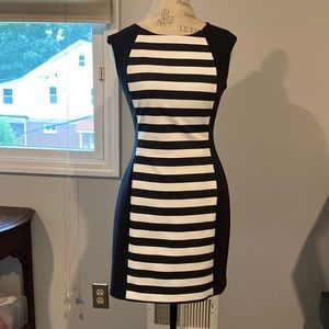 Banana Republic Petite Exclusive Size 8P